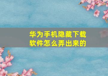 华为手机隐藏下载软件怎么弄出来的