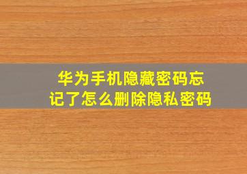 华为手机隐藏密码忘记了怎么删除隐私密码