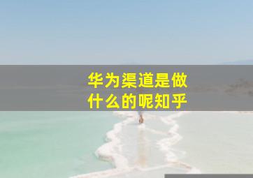 华为渠道是做什么的呢知乎