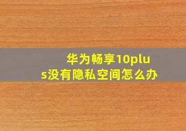 华为畅享10plus没有隐私空间怎么办