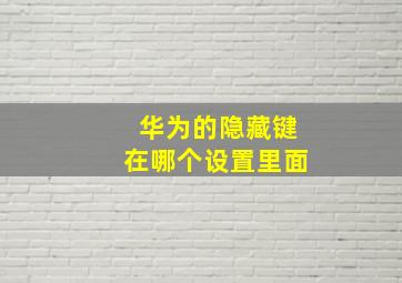 华为的隐藏键在哪个设置里面