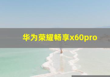 华为荣耀畅享x60pro