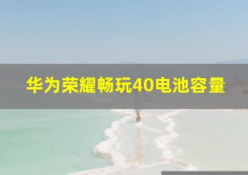 华为荣耀畅玩40电池容量