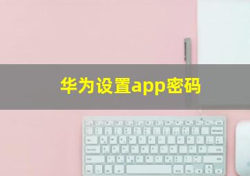 华为设置app密码