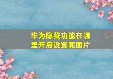 华为隐藏功能在哪里开启设置呢图片