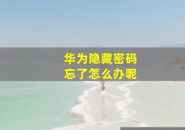 华为隐藏密码忘了怎么办呢