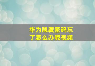 华为隐藏密码忘了怎么办呢视频