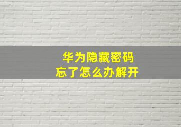 华为隐藏密码忘了怎么办解开