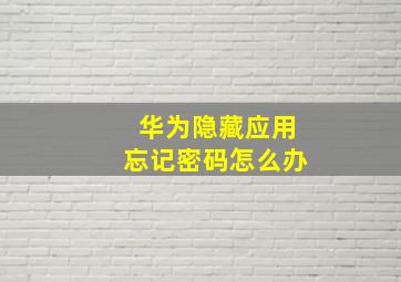 华为隐藏应用忘记密码怎么办