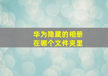 华为隐藏的相册在哪个文件夹里