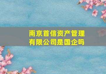 南京首信资产管理有限公司是国企吗