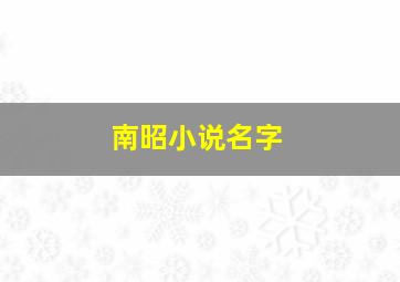 南昭小说名字