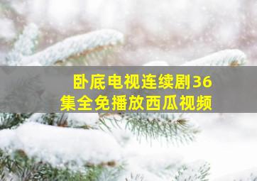 卧底电视连续剧36集全免播放西瓜视频