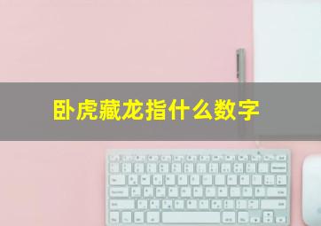 卧虎藏龙指什么数字