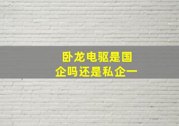 卧龙电驱是国企吗还是私企一