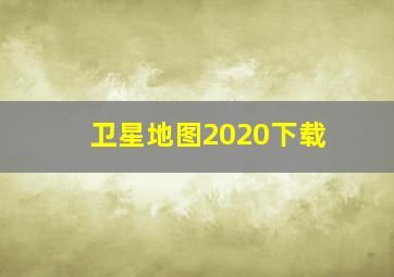 卫星地图2020下载