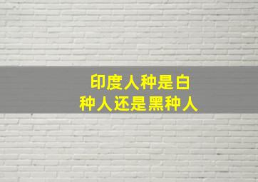 印度人种是白种人还是黑种人