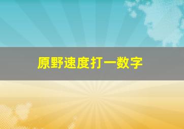 原野速度打一数字