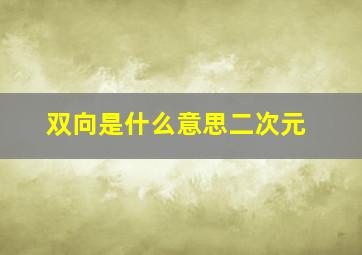 双向是什么意思二次元