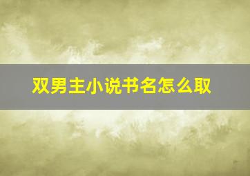 双男主小说书名怎么取