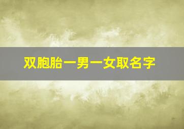 双胞胎一男一女取名字