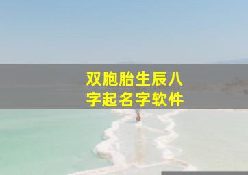 双胞胎生辰八字起名字软件