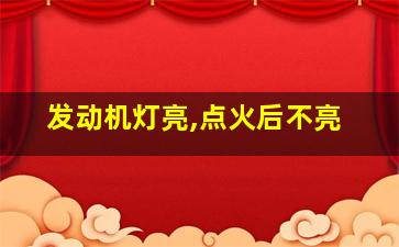 发动机灯亮,点火后不亮