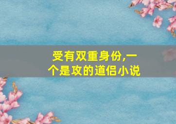 受有双重身份,一个是攻的道侣小说