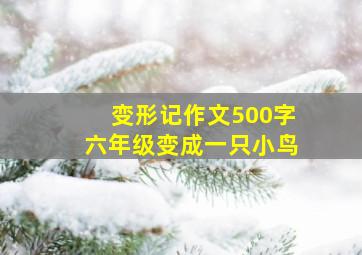 变形记作文500字六年级变成一只小鸟