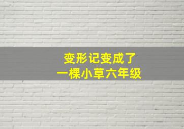 变形记变成了一棵小草六年级