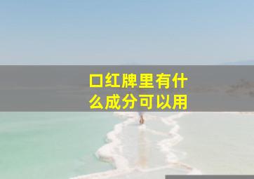 口红牌里有什么成分可以用