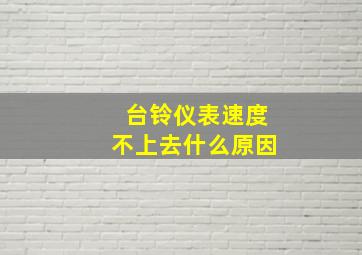 台铃仪表速度不上去什么原因