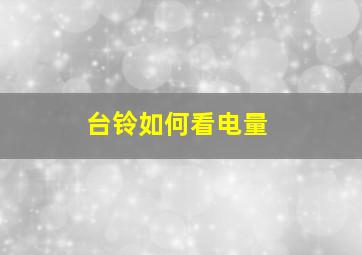 台铃如何看电量