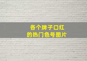 各个牌子口红的热门色号图片