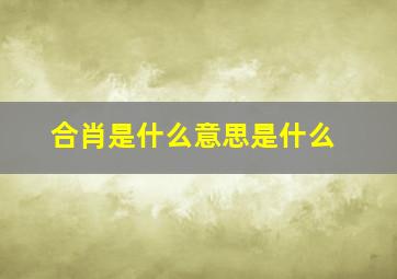 合肖是什么意思是什么