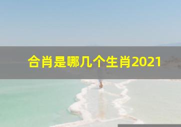 合肖是哪几个生肖2021