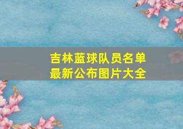 吉林蓝球队员名单最新公布图片大全