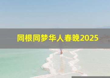 同根同梦华人春晚2025