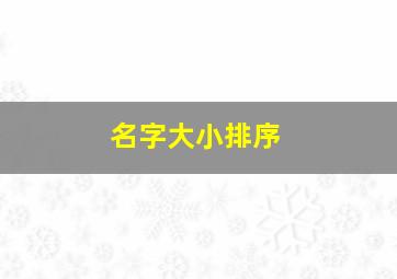 名字大小排序