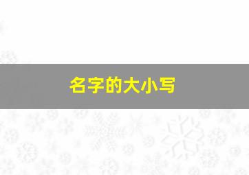 名字的大小写