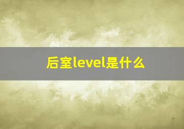 后室level是什么