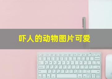 吓人的动物图片可爱