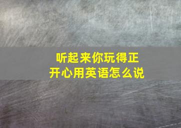 听起来你玩得正开心用英语怎么说