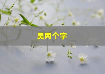 吴两个字