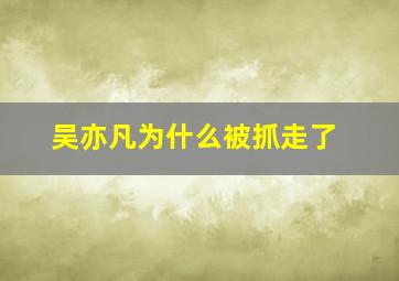 吴亦凡为什么被抓走了