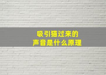 吸引猫过来的声音是什么原理