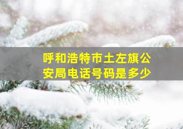 呼和浩特市土左旗公安局电话号码是多少