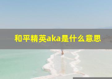 和平精英aka是什么意思