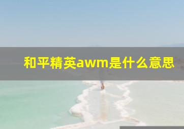 和平精英awm是什么意思