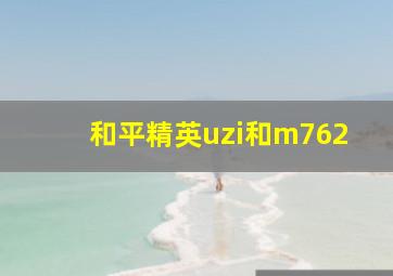 和平精英uzi和m762